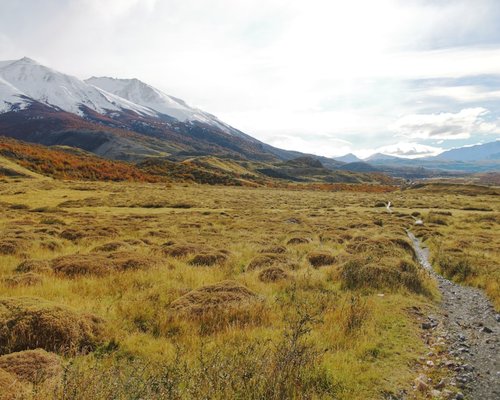 Clear trail in the Chilean Patagonia with mountains in the background
